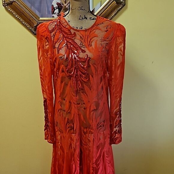 Vintage Sheer Red Lace Whimsigoth Maxi Gown size Large - Picture 2 of 12